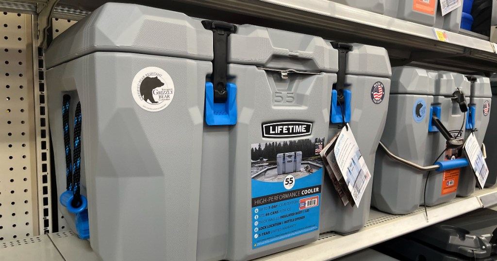 Lifetime Cooler on shelves