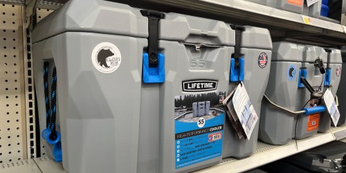 Lifetime 55-Quart High-Performance Cooler Only $119 Shipped on Walmart.online (Regularly $160) – Lina Has This & Loves It!