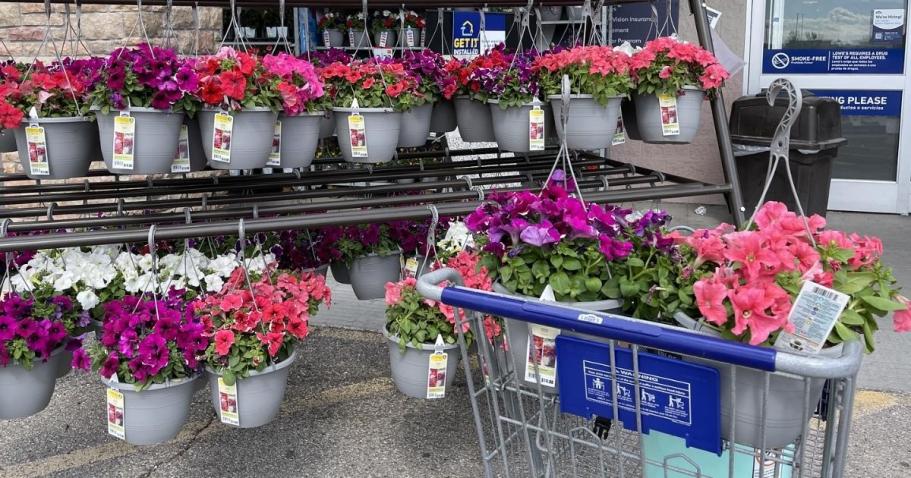 Lowe’s Memorial Day Sale Live Now | Hot Deals on Plants, Mulch, Soil, & More