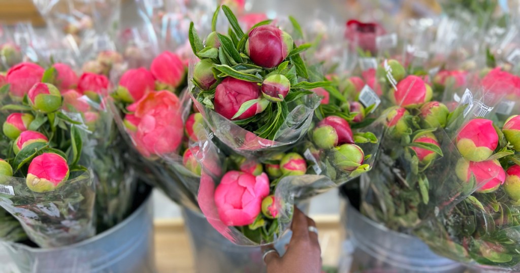 pink peonies at trader joes