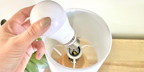 Using LED Light Bulbs Can Save You $162 Per Bulb — Here’s How!