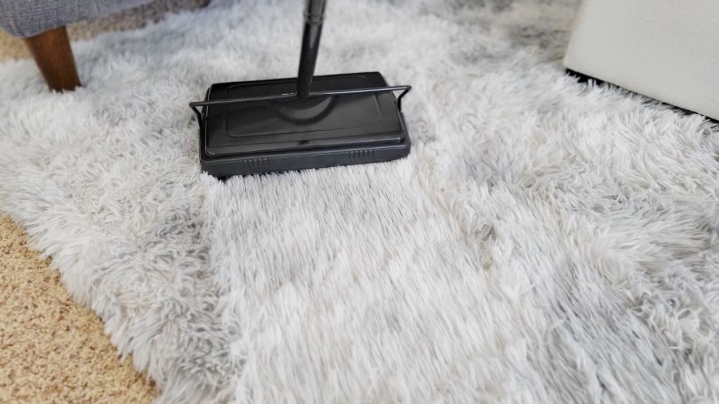 carpet sweeper on a rug