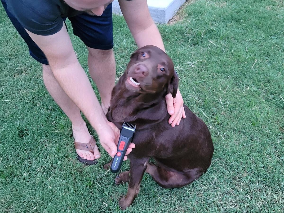 DOG CARE Dog Grooming Clippers Kit