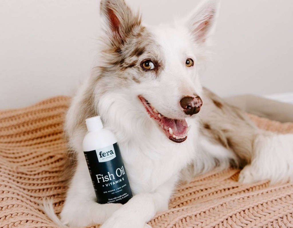 dog holding Fera Pet Organics Fish Oil 