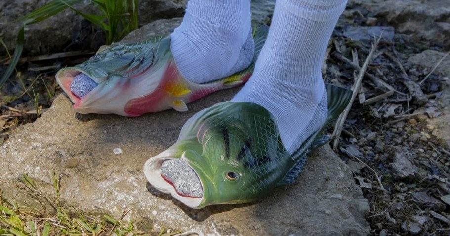They’re Back: Fish Sandals Only $11.97 at Bass Pro Shops (Tuck Away for Father’s Day)