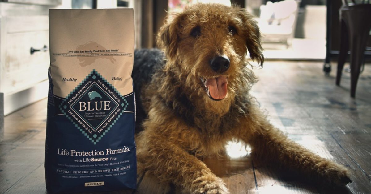 Dog with Blue Buffalo Dog Food