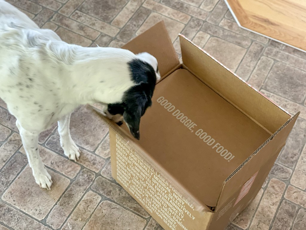 opening box of Ollie healthy dog food