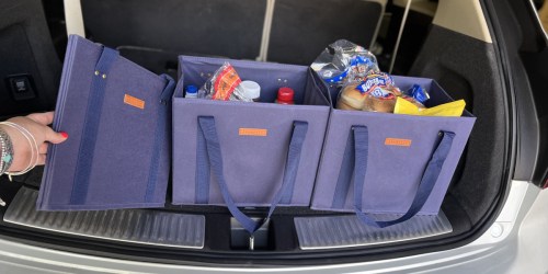 Reusable Grocery Bags That Are Washable & Stand On Their Own | 4-Pack Just $33.97 Shipped on Amazon