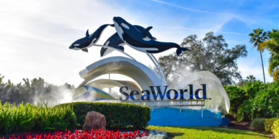 SeaWorld Waves of Honor Program | Free Park Passes for Military Veterans & 3 Guests