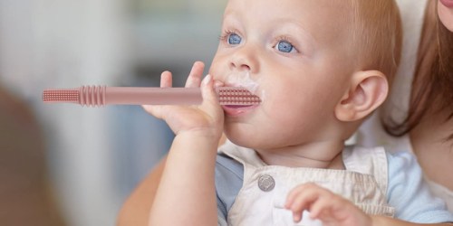 Highly-Rated Teething Tube 6-Pack w/ Cleaning Brush Only $7.99 on Amazon (Regularly $16)