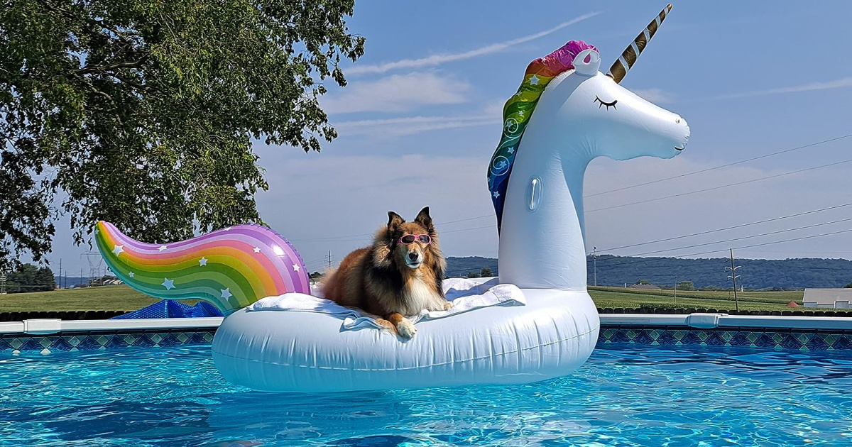 Giant Inflatable Unicorn Pool Float Only $16.49 Shipped for Amazon Prime Members (Fits 2 Adults or 3 Kids!)