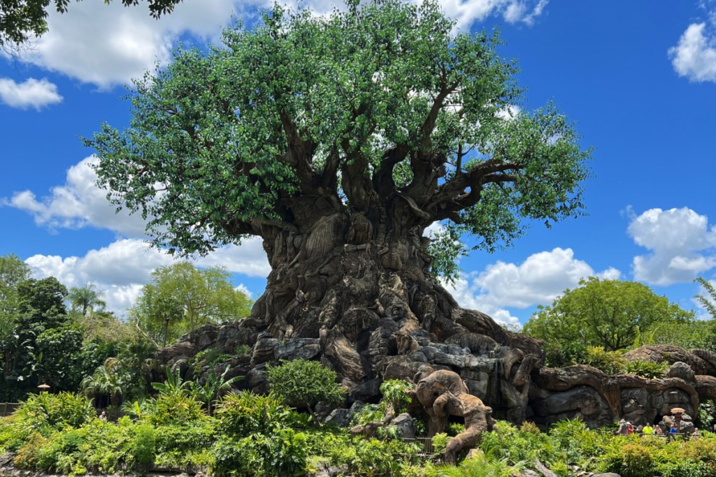 animal kingdom tree of life