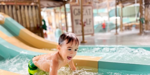 Great Wolf Lodge $93 Per Night + SIX Waterpark Passes (Escape the Cold w/ Heated Pools!)