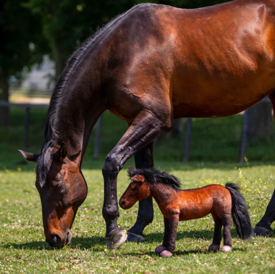 large brown horse eating grass with identical plush horse on ground next to it