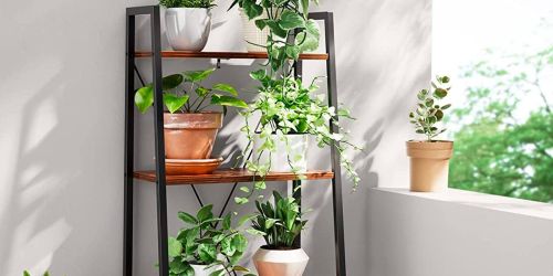 Industrial Ladder Bookshelf Just $51.99 Shipped on Amazon (Regularly $80)