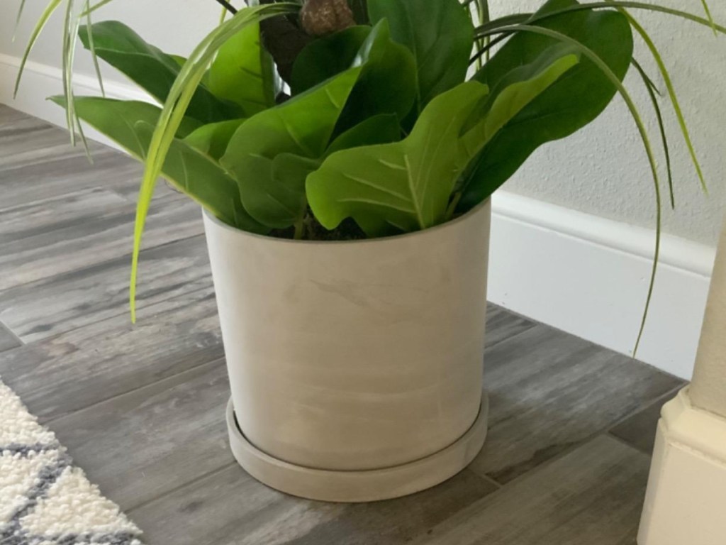 faux plant in a diy cement planter