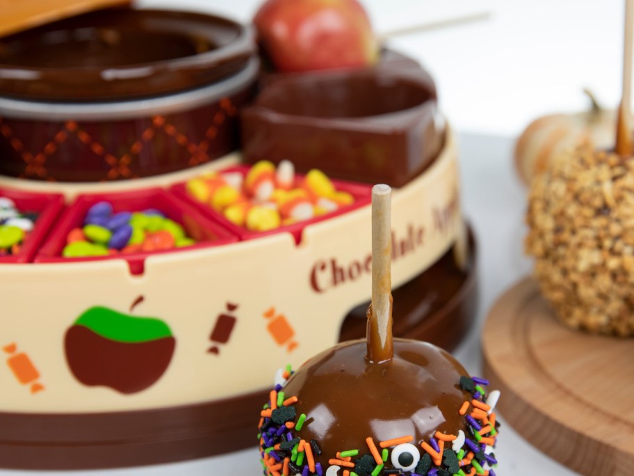 Fondue melter with apples and items on the tray-2