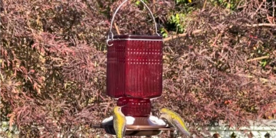 Glass Hummingbird Feeder Only $5.80 on Target.online