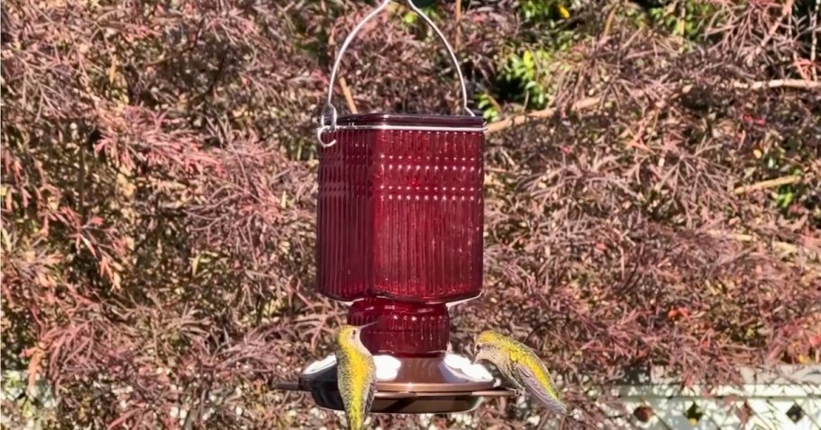 Glass Hummingbird Feeder Only $5.80 on Target.online