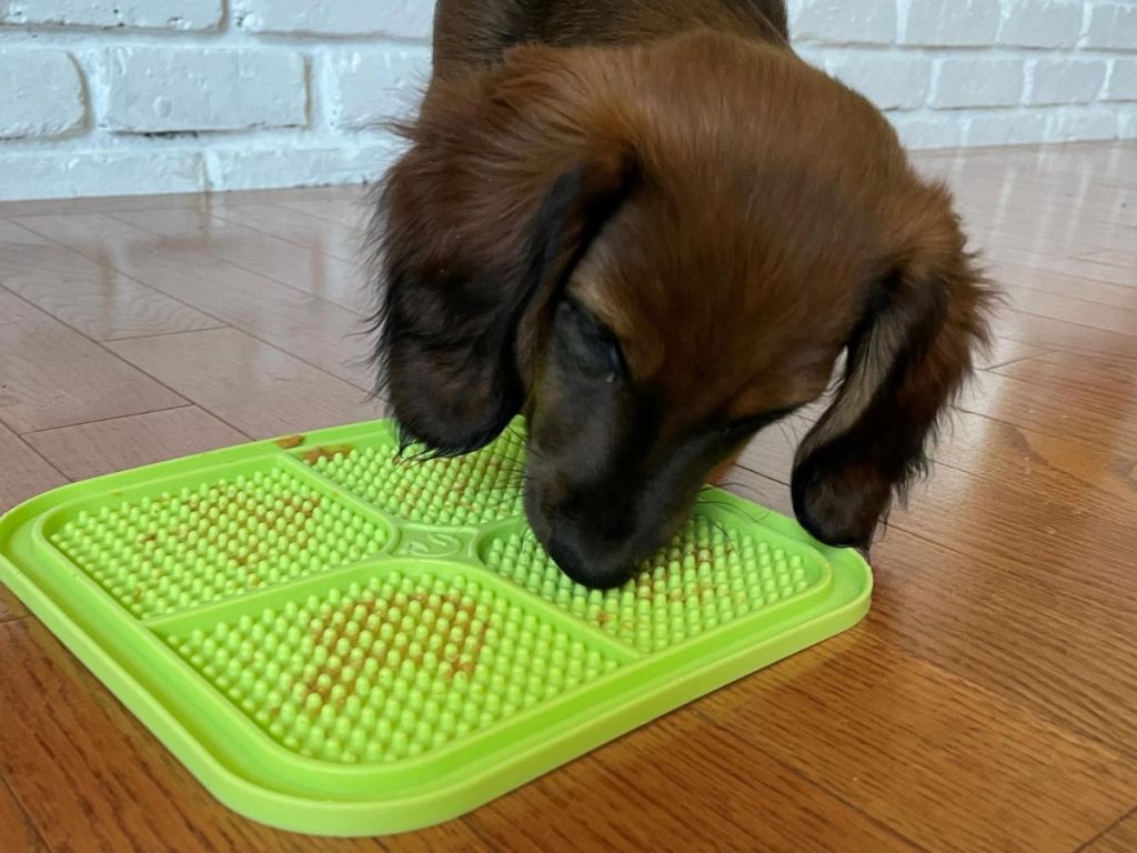 Hyper Pet IQ Treat Mat