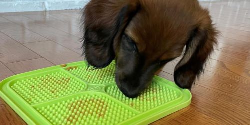 Hyper Pet Treat Lick Mats 2-Pack Only $8 on Amazon or Chewy.online (Regularly $28)