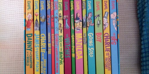 Roald Dahl 16 Book Collection Just $14.99 Shipped on Costco.online (Regularly $35)