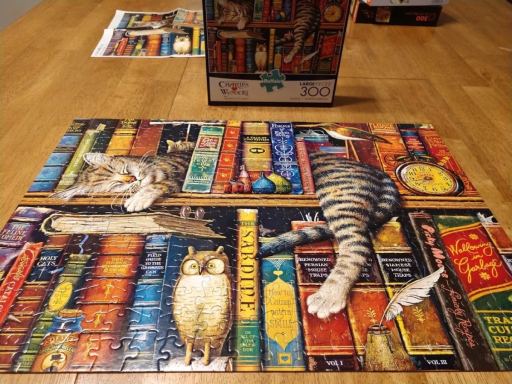 cat puzzle next to box