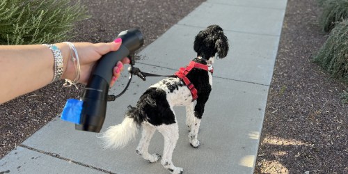 Ergonomic Dog Leash w/ Flashlight & Poop Bag Dispenser Only $17 on Petsmart.online (Regularly $35)