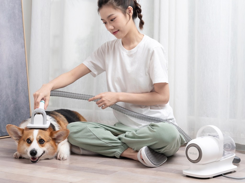 woman grooming dog