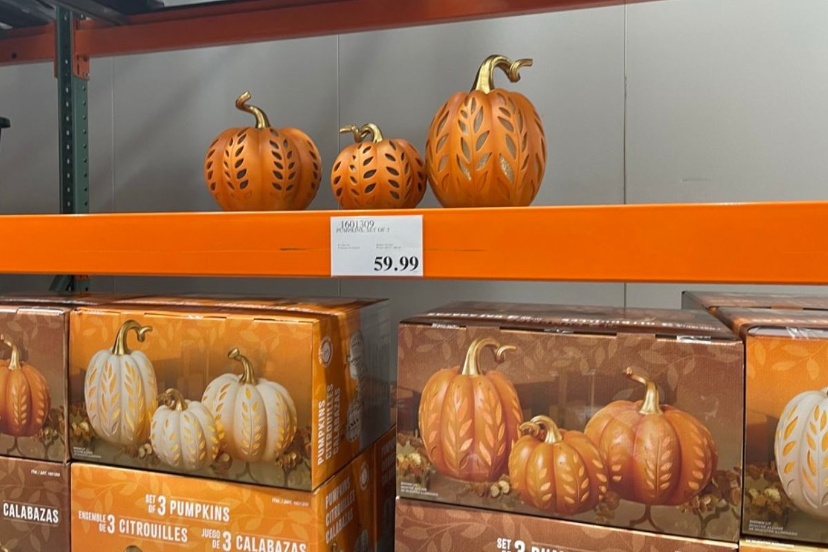 3 piece set of pumpkin lanterns at costco