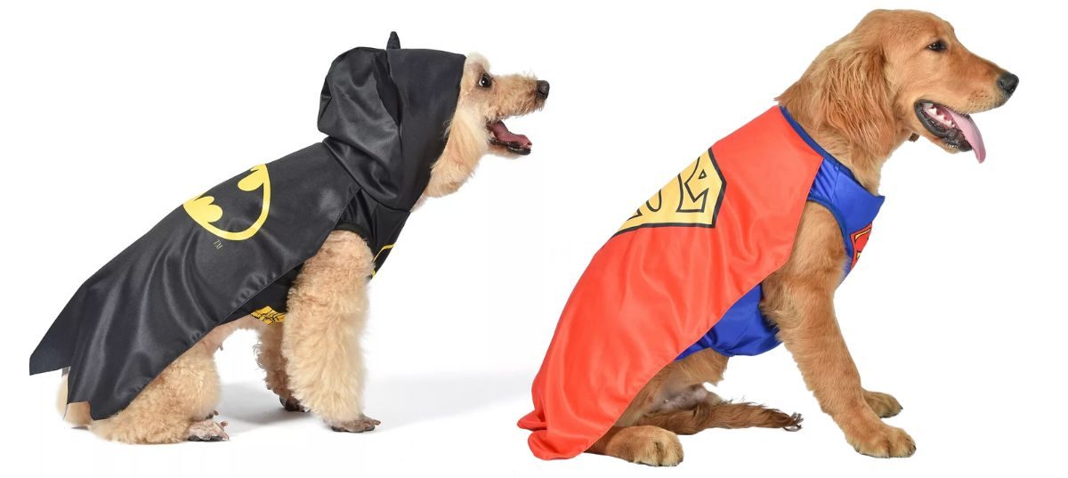 Kohl's Pet Costumes - DC onlineics Batman and Superman Costumes