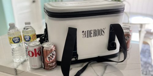 Yeti Cooler Bag Alternatives for Less (Starting Under $50!)