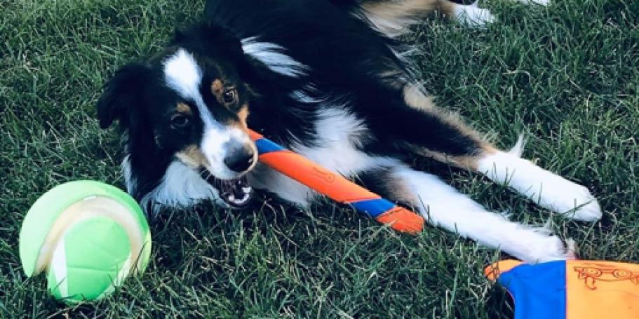 Up to 70% Off ChuckIt Dog Toys on Amazon | Highly-Rated Fetch Stick Only $3.52