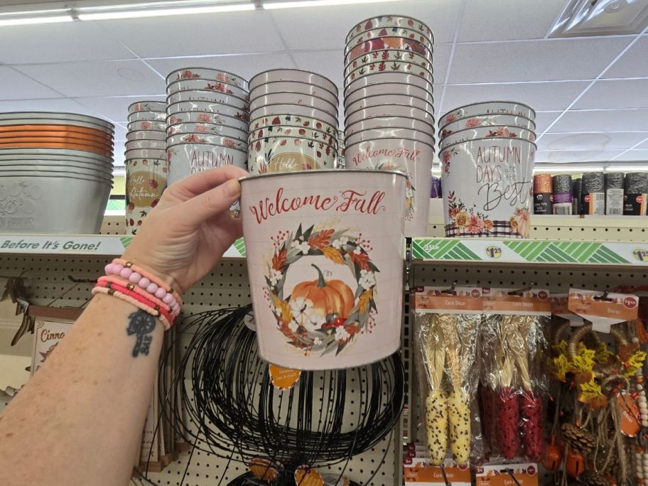 Dollar Tree Fall Metal Buckets