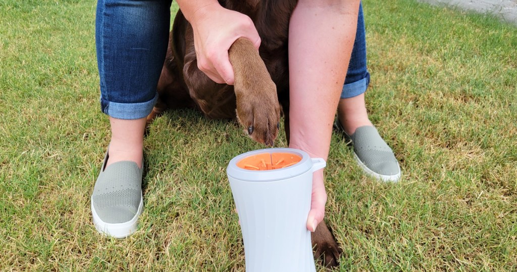 placing dog's paw into paw cleaner