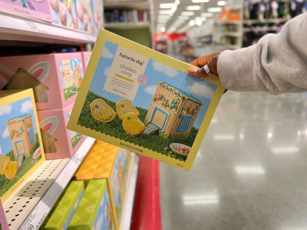 Hand holding the box for a Favorite Day Easter Chicken Coop House with Chicks Cookie Kit