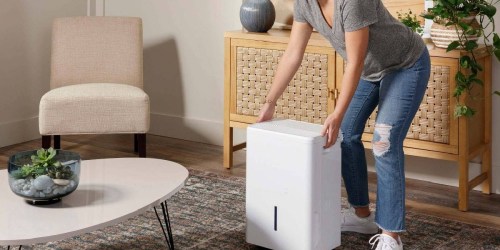 Haier 20-Pint Dehumidifier Just $83.99 Shipped on Target.online (Regularly $210)