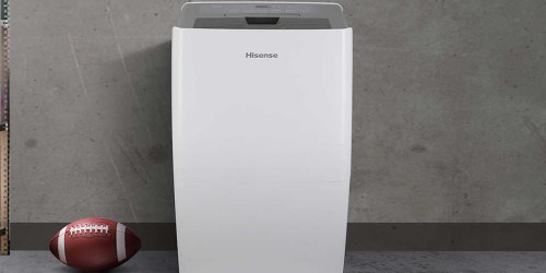 Hisense 50-Pint Dehumidifier Just $133.98 Shipped on Costco.online (Reg. $180)