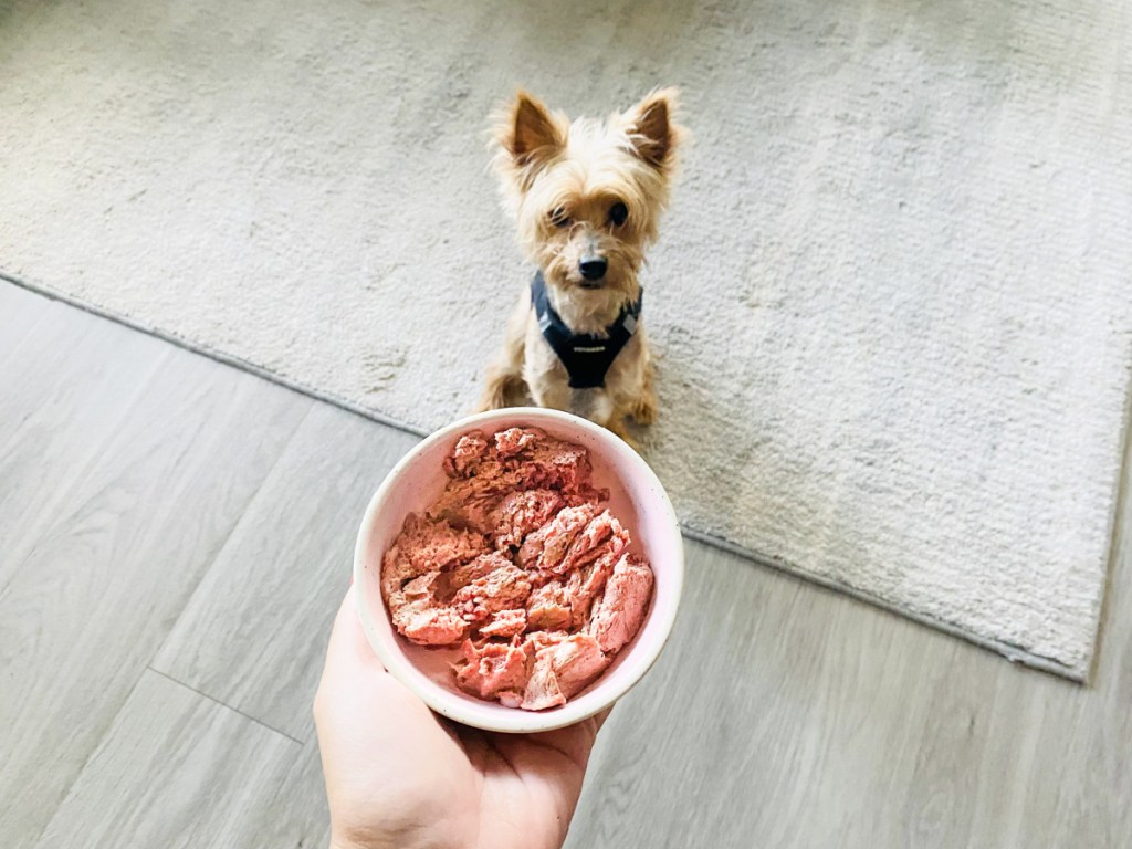 holding a bowl of we feed raw dog food