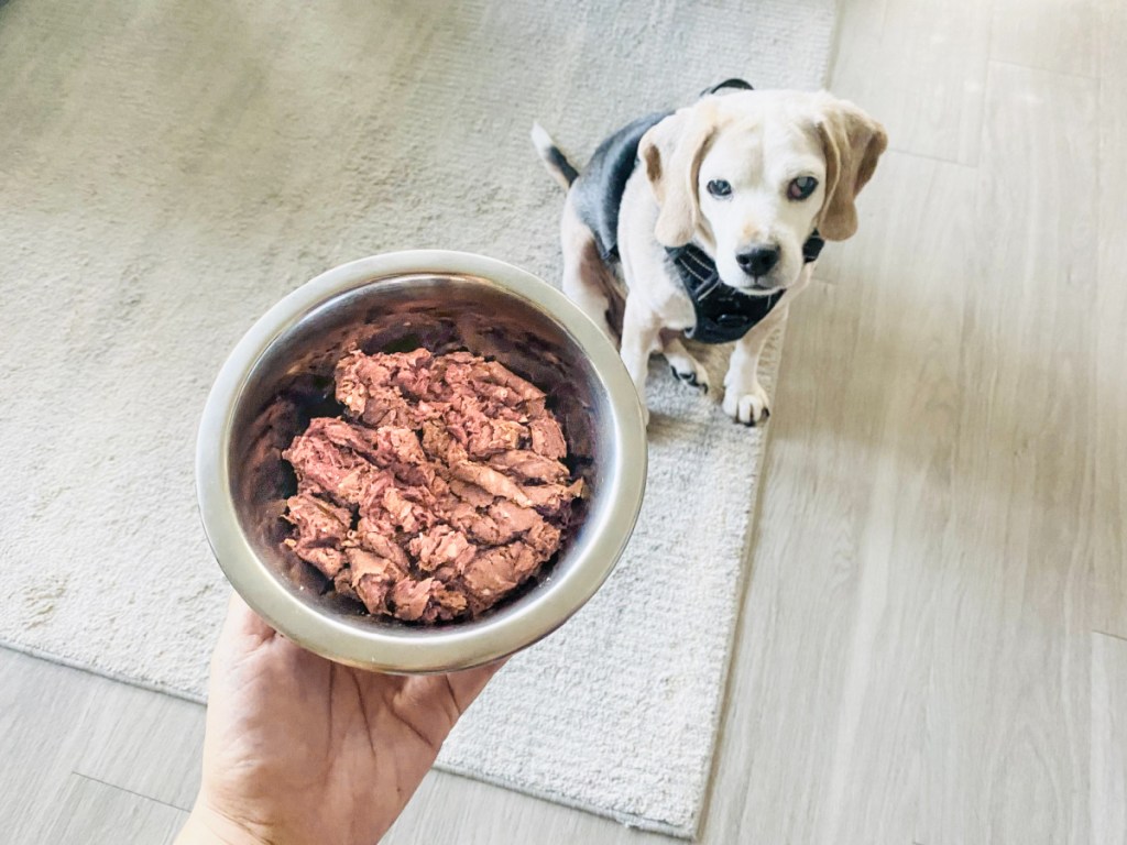 holding a bowl of we feed raw dog food