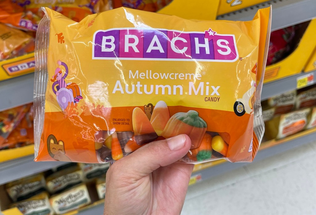 hand holding brach's autumn mix candy