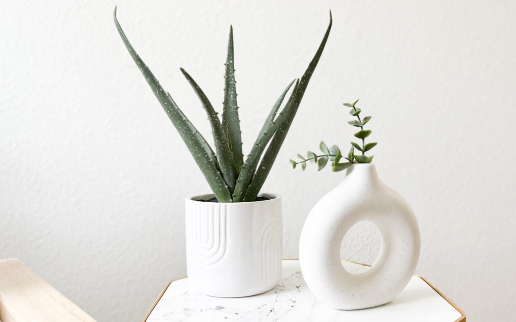 faux aloe vera and hollow vase