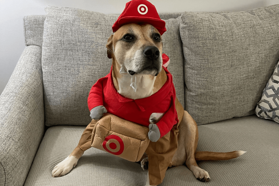 Target Halloween Pet Costumes & Accessories from $3.50