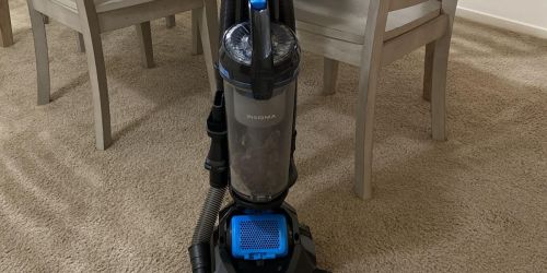 Insignia Bagless Upright Vacuum Only $54.99 Shipped on BestBuy.online (Regularly $120)