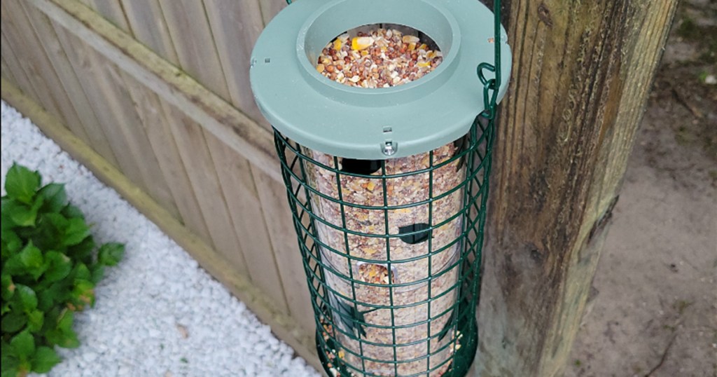 Bird feeder