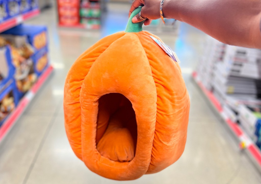 pumpkin themed pet bed