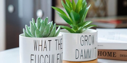 Cheeky Succulent Pots 2-Pack Only $13.49 on Amazon (Regularly $27)