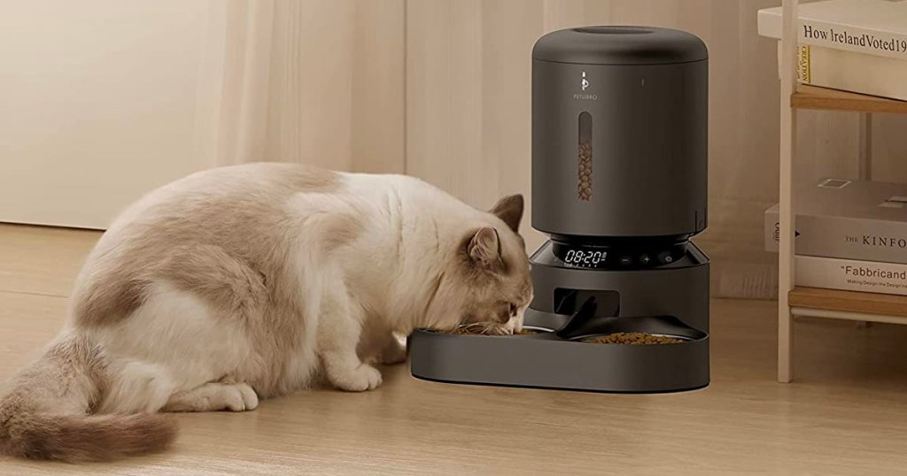 tan cat eating out of black automatic pet feeder