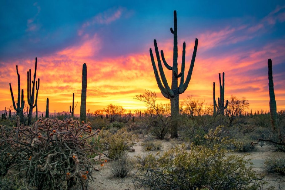 The Next FREE National Parks Day is January 20th