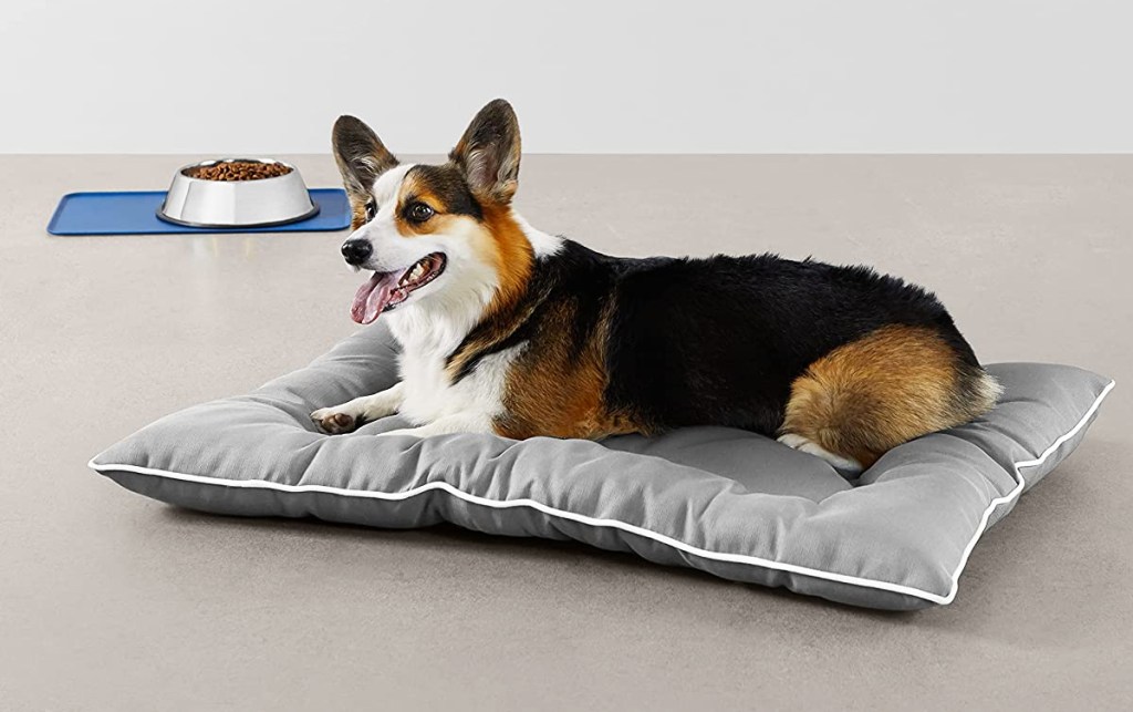 corgi laying on grey pet bed